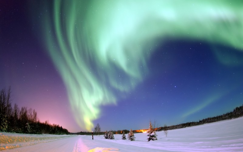 alaska, aurora borealis, northern lights, shines, bear lake, landscape, nature, winter, snow, sky, stars, forest, path, road