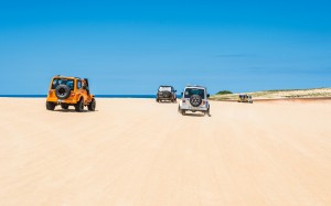 jeeps, cars, parque das dunas de genipabu, brazil, summer, sand, beach, sunny, vehicles, suv