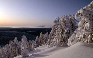 winter, sunrise, paulina peak, deschutes national forest, forest, woods, nature, landscape, trees, sky, mountains, snow