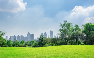 trees, summer, nature, spring, urban, grass, field, lawn, skyscrapers, city, cityscape, park, garden, skyline, asia, shenzhen, bright, landscape