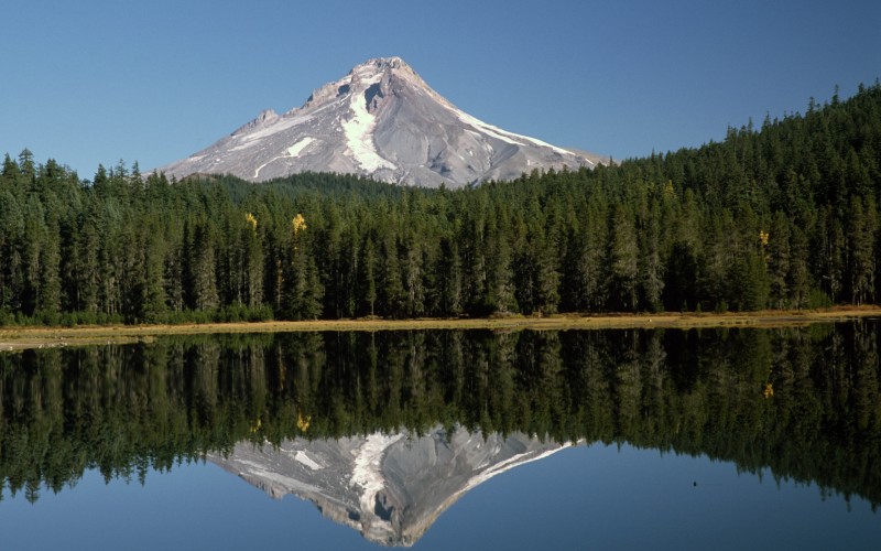 hood national forest, trillium lake, lake, nature, landscape, forest, evergreen trees, shore, trees