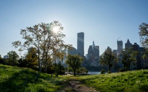 manhattan, roosevelt island, city, landscape, park, skyscrapers, usa, trees, grass