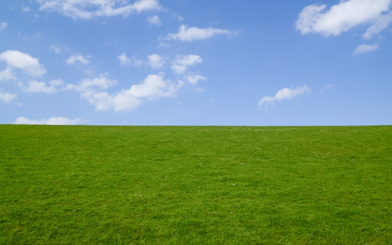 idyllic, field, grass, landscape, empty, nature, sky, summer, meadow, green, day, rural, blue, view, countryside, background, outdoors, lawn