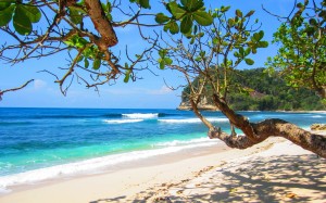 beach, landscape, sea, coast, tree, water, nature, sand, ocean, sky, sunnny, shore, waves, summer, vacation, travel, relax, paradise, scenic, tropical, lagoon, bay, island, blue, rest, tourism, seasons, relaxation, resort, hot, caribbean, exotic, tropics, beach