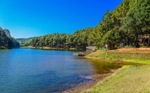 landscape, nature, lake, forest, summer, sunny, park, pines, blue sky, clean sky
